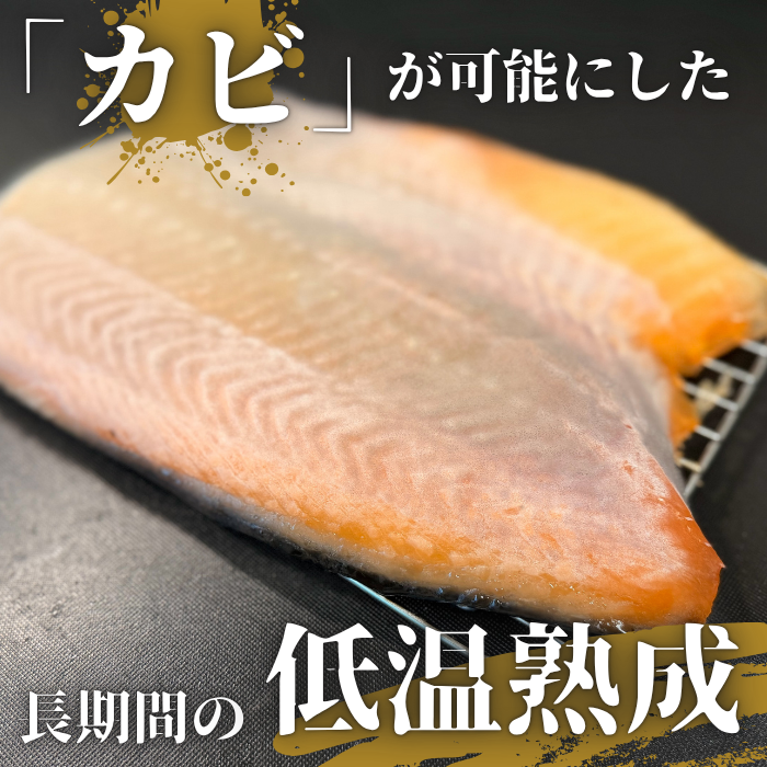 カビサーモン　100g