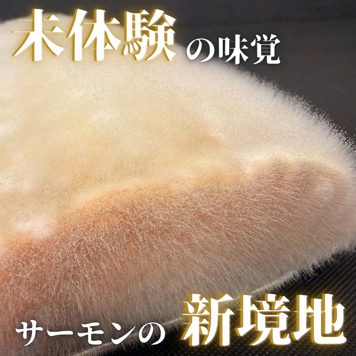 カビサーモン　100g