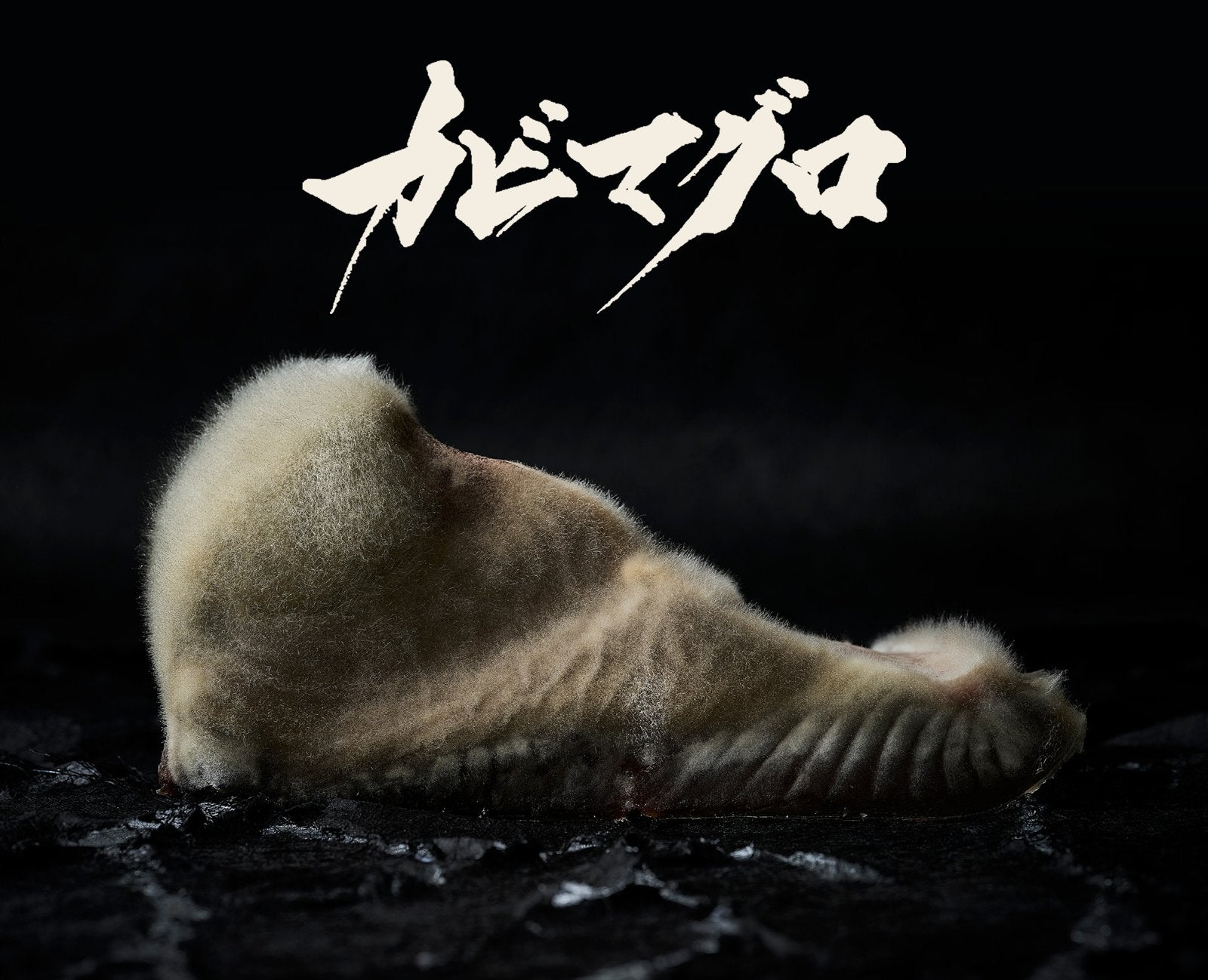 カビマグロ